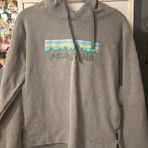 Patagonia hoodie